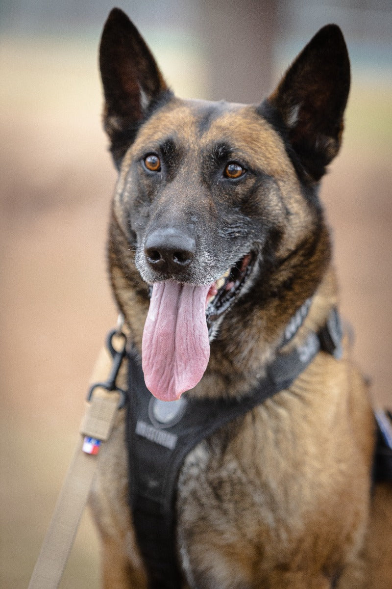 High Speed Gear K9 Bonito 15ft Tracking Lead