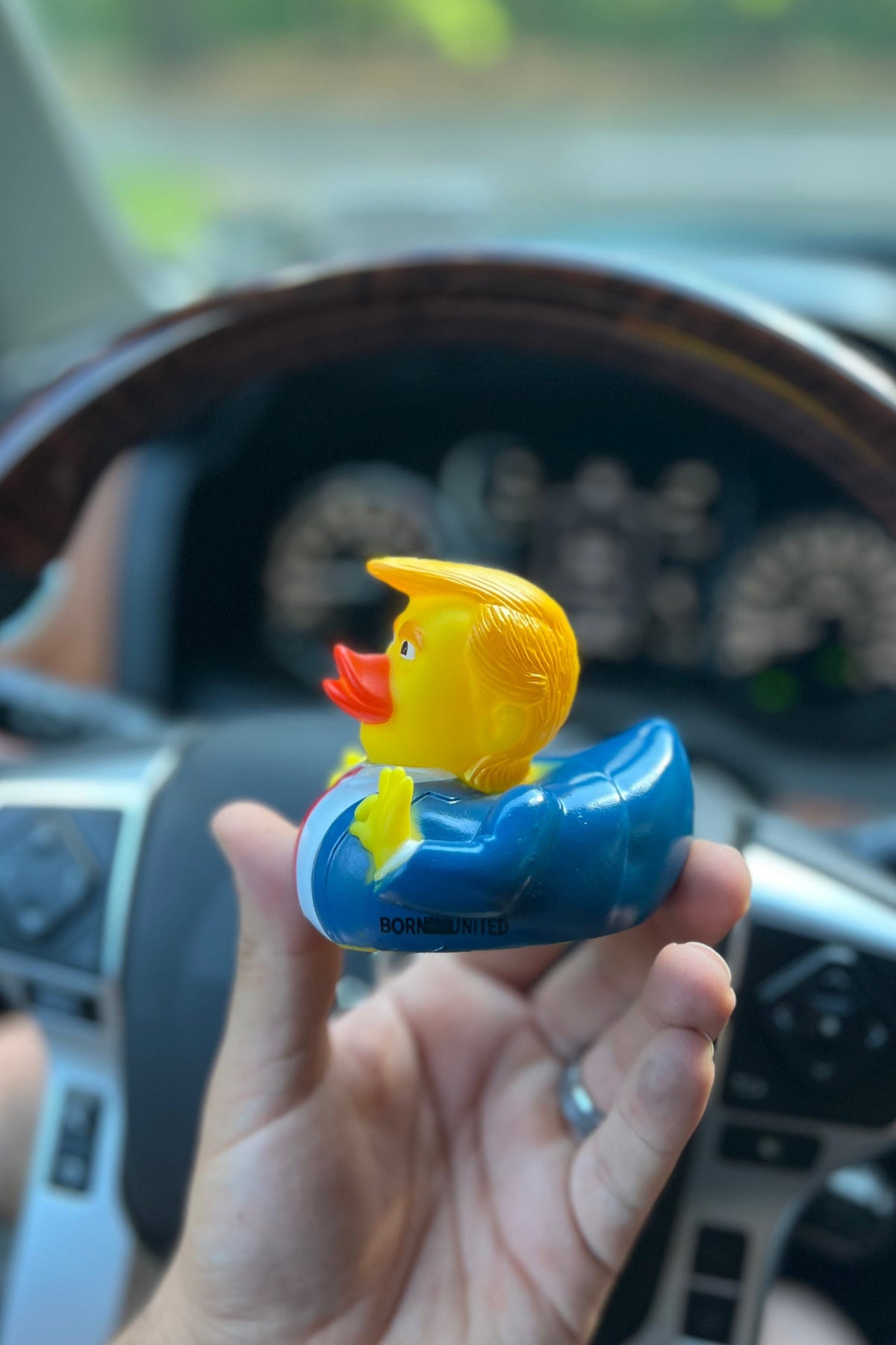 The "DONALD" Duck🇺🇸🇺🇸🇺🇸