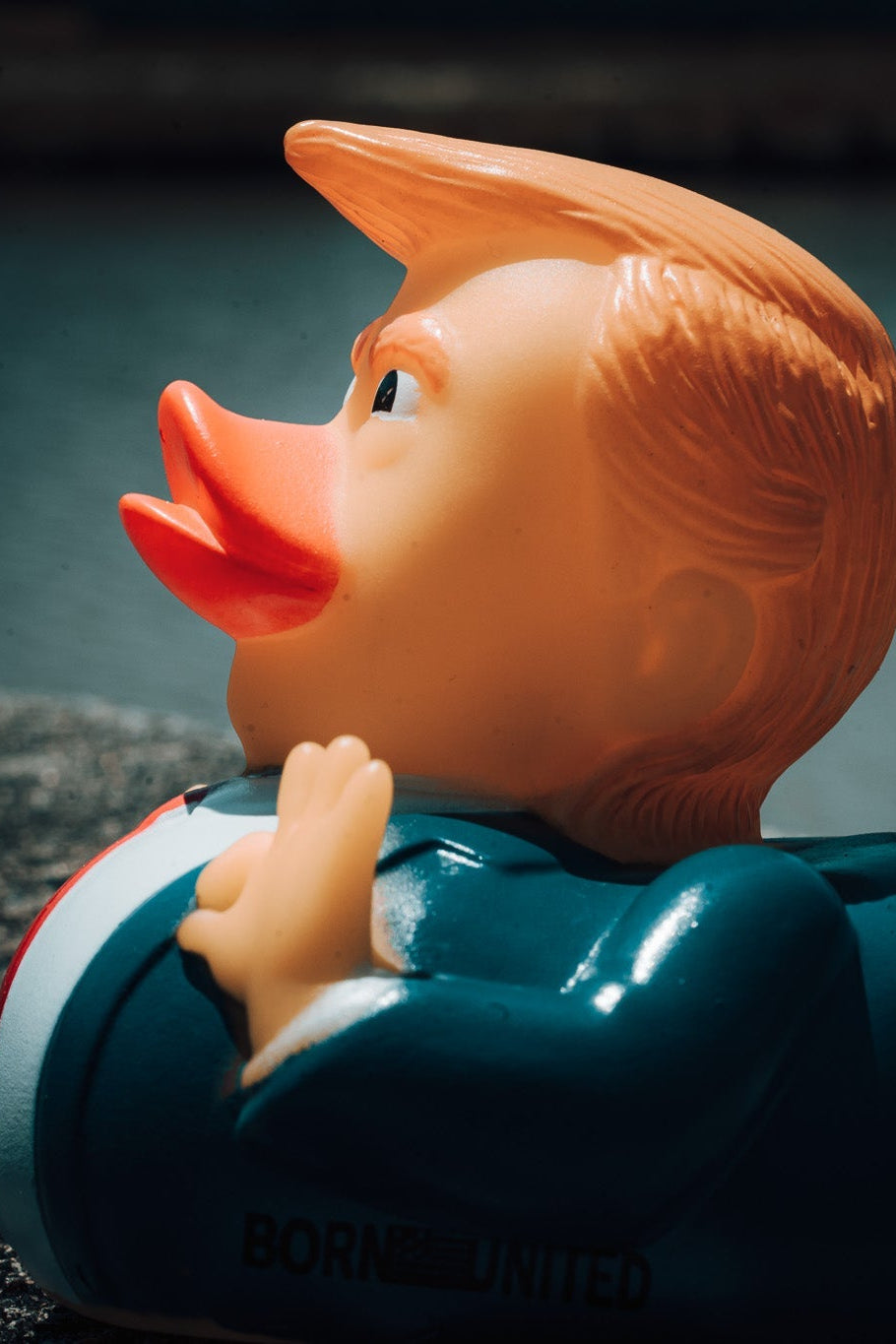 The "DONALD" Duck🇺🇸🇺🇸🇺🇸