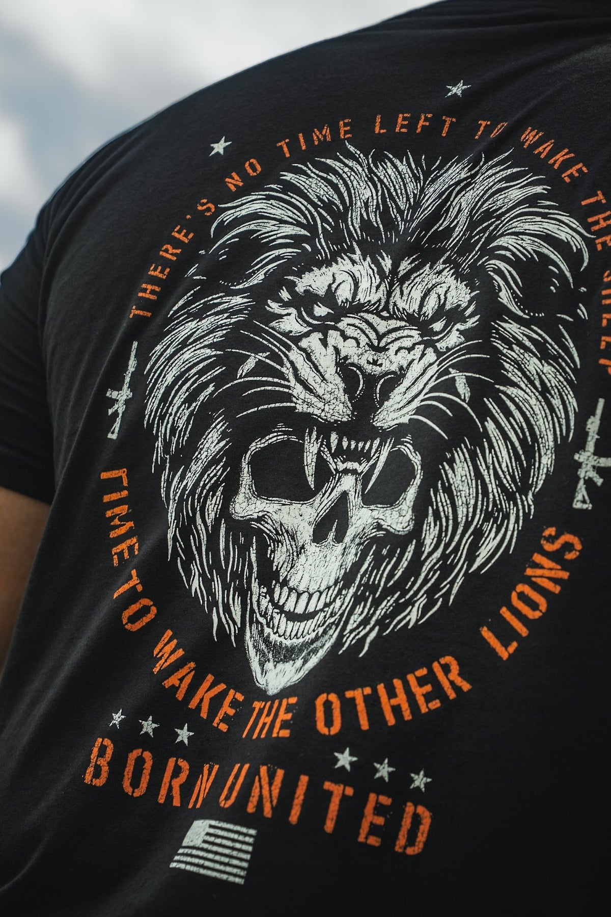 Waking Lions