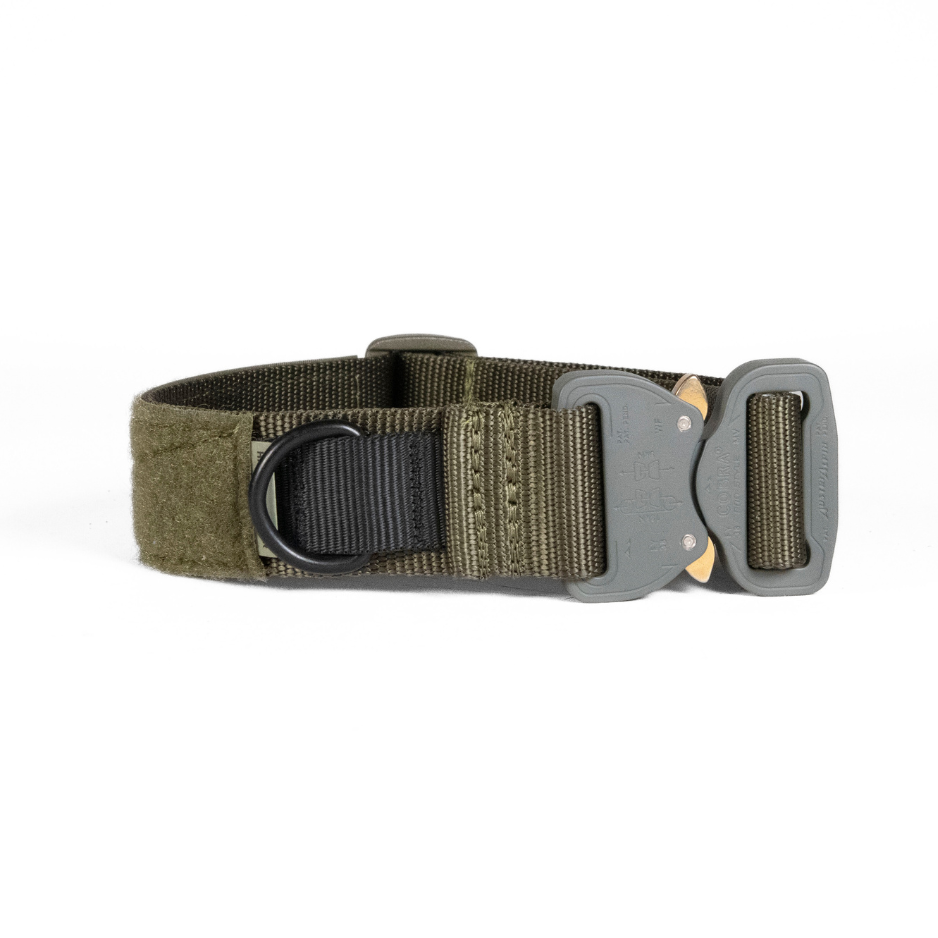High Speed Gear K9 Collar