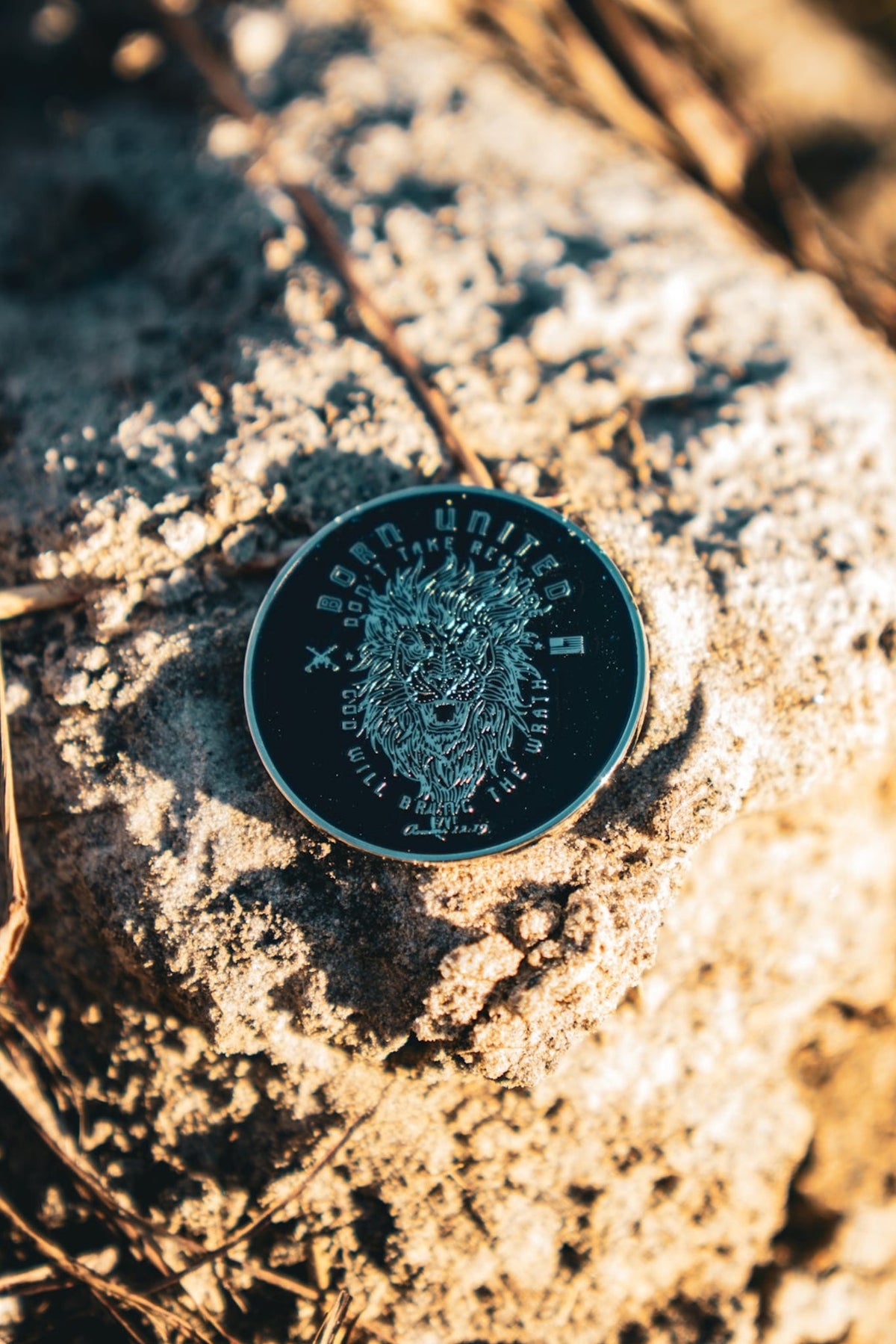 Revenge Challenge Coin